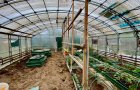 Продается дом с участком