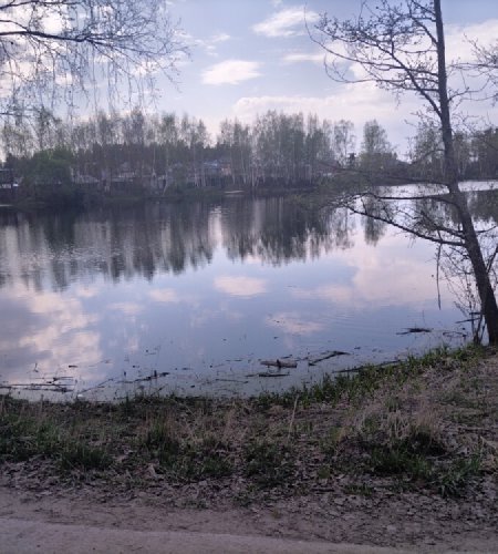 Объект №135611817