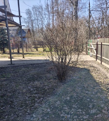 Объект №132742899