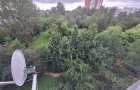 Объект №113562818