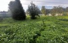 Объект №97560674