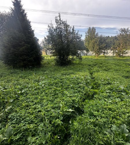 Объект №97560674