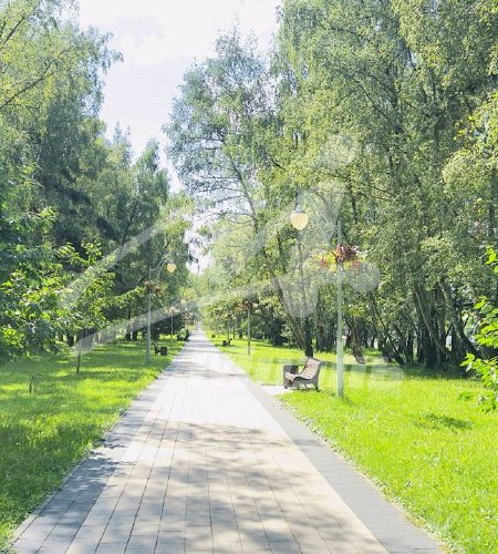 Объект №126762501