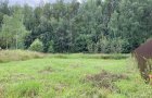 Объект №116279241