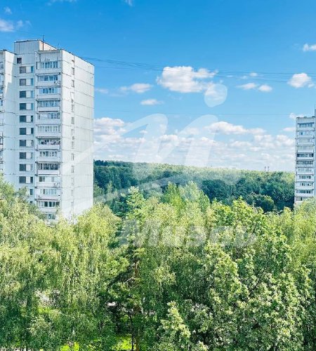 Объект №126762501