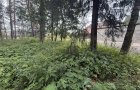 Объект №114863785