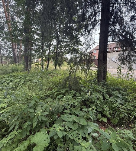 Объект №114863785