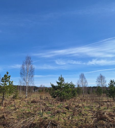 Земельный участок 6 соток