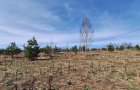 Земельный участок 7 соток
