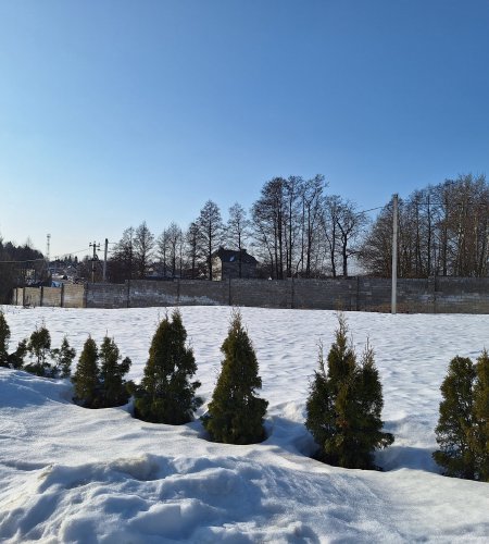 Участок 6 соток д. Богослово