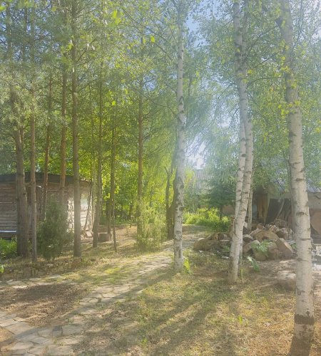 Объект №110667964
