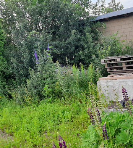 Объект №110087832
