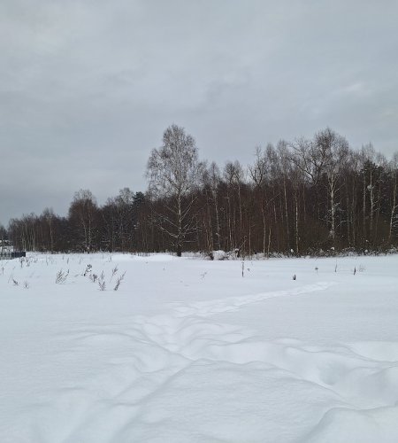 Участок 8,6 соток Пушкино