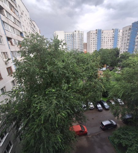 Объект №113562818