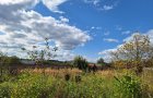 Дом 94 м.кв. на участке 7,7 соток