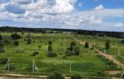 Объект №110317085