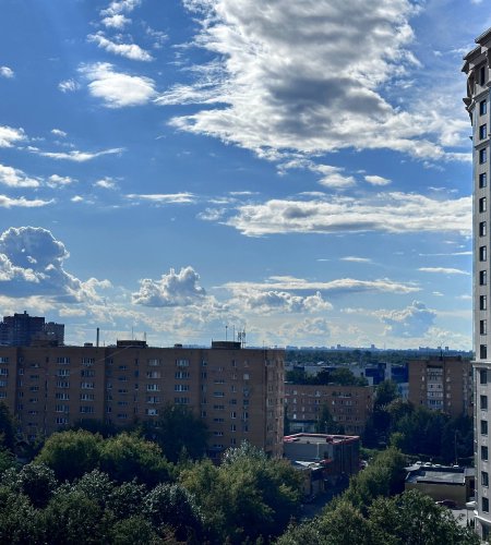 Объект №115657810