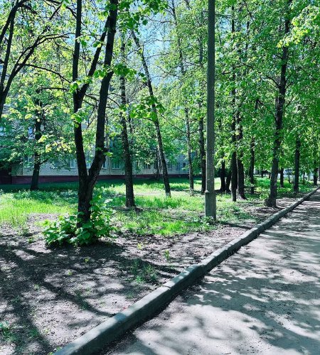 Объект №105014354