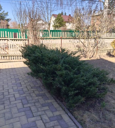 Объект №132742899