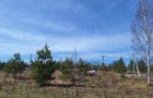 Земельный участок 7 соток