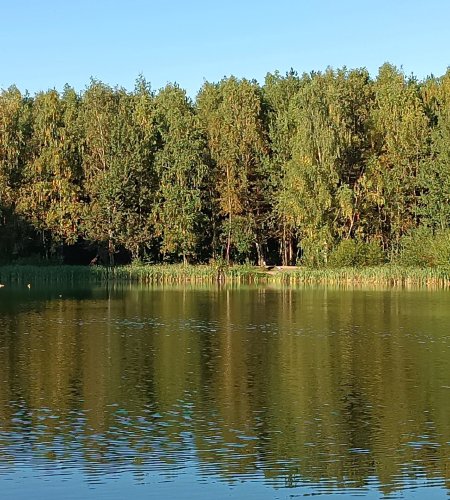 Объект №116409404
