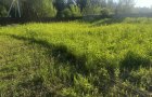 Объект №96389685