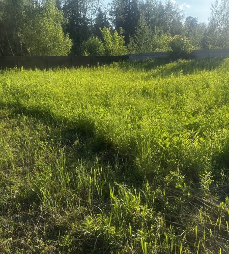 Объект №96389685
