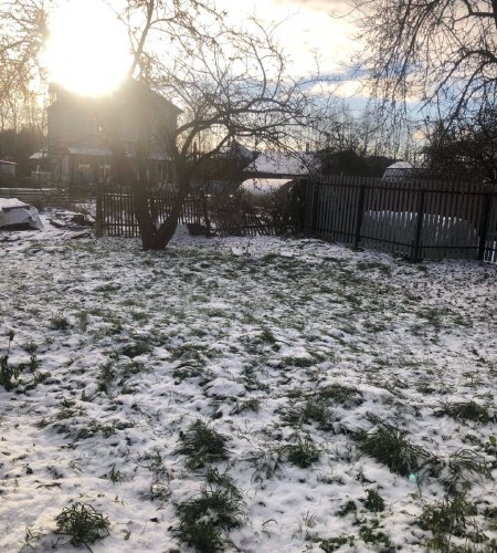 сдается дом