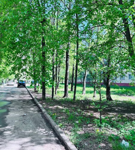 Объект №105014354