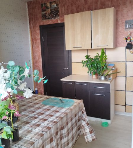 Студия, п.Биокомбинат д.1к.1