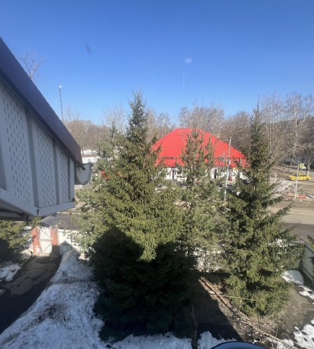 Студия,Медвежьи озера,Садовая 45А