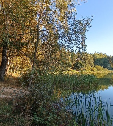 Объект №116409404