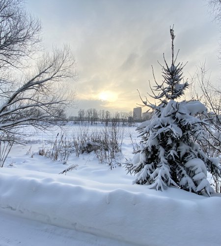 Продается дом с участком