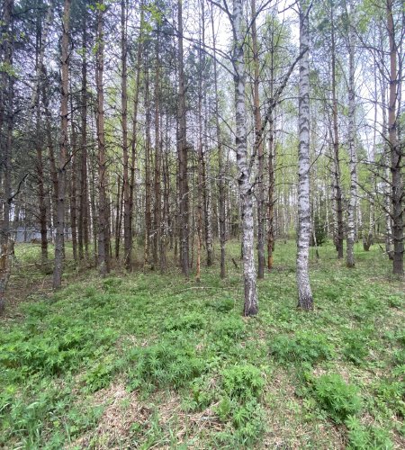 Продается участок