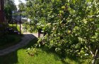 Объект №102320171