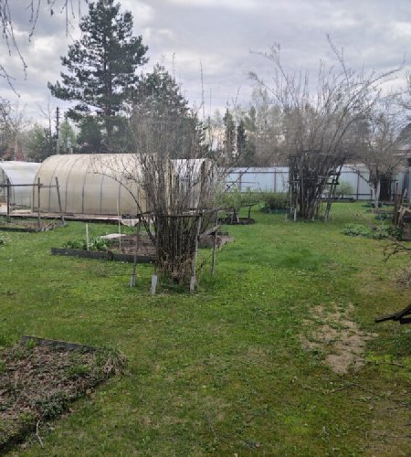 Объект №135611817