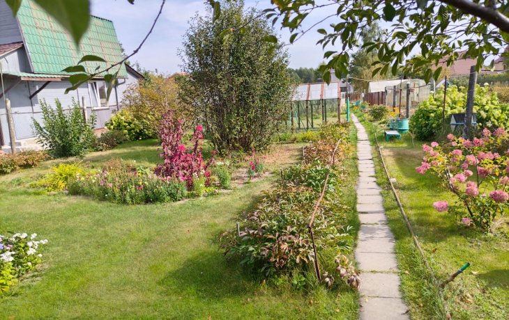 Объект №100930363