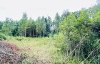Объект №116279241