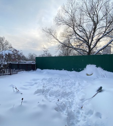 Продается дом с участком