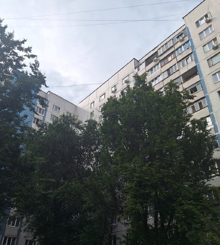 Объект №113562818