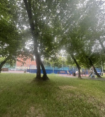 Готовый бизнес, Помещение