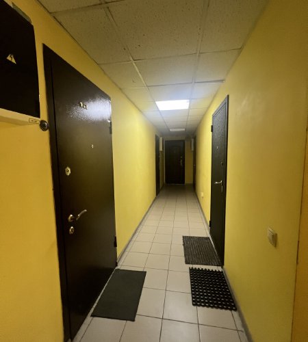 Студия,Медвежьи озера,Садовая 45А