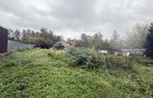 Объект №118105619