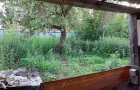 Объект №110087832