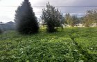 Объект №97560674