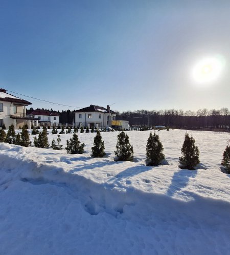 Участок 6 соток д. Богослово