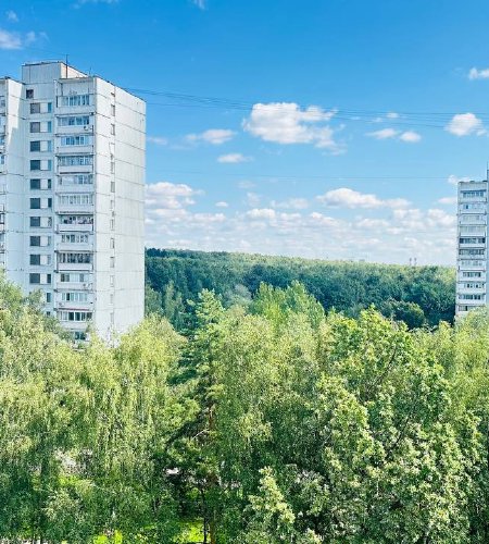 Объект №113859287