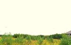 Участок  9 соток в Оболдино