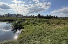 Объект №116210893