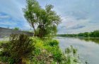 Продается дом с участком